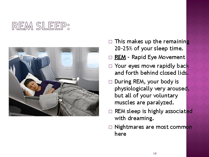 REM SLEEP: � � � This makes up the remaining 20 -25% of your