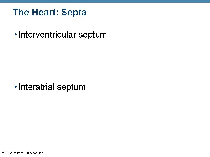 The Heart: Septa • Interventricular septum • Interatrial septum © 2012 Pearson Education, Inc. The Heart: Septa • Interventricular septum • Interatrial septum © 2012 Pearson Education, Inc.