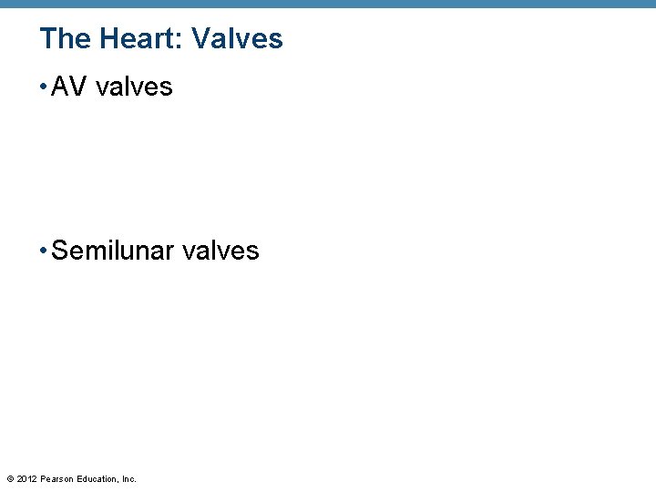 The Heart: Valves • AV valves • Semilunar valves © 2012 Pearson Education, Inc. The Heart: Valves • AV valves • Semilunar valves © 2012 Pearson Education, Inc.