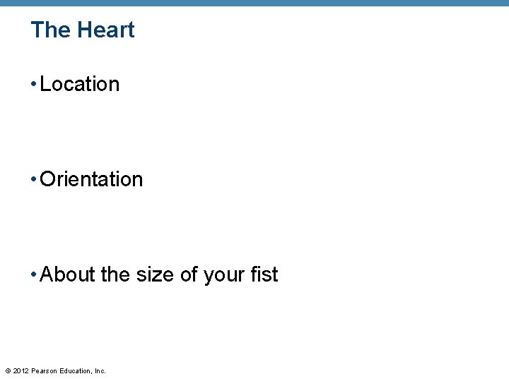 The Heart • Location • Orientation • About the size of your fist © The Heart • Location • Orientation • About the size of your fist ©