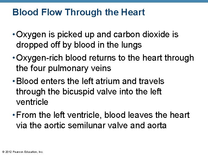 Blood Flow Through the Heart • Oxygen is picked up and carbon dioxide is Blood Flow Through the Heart • Oxygen is picked up and carbon dioxide is