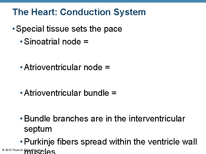 The Heart: Conduction System • Special tissue sets the pace • Sinoatrial node = The Heart: Conduction System • Special tissue sets the pace • Sinoatrial node =