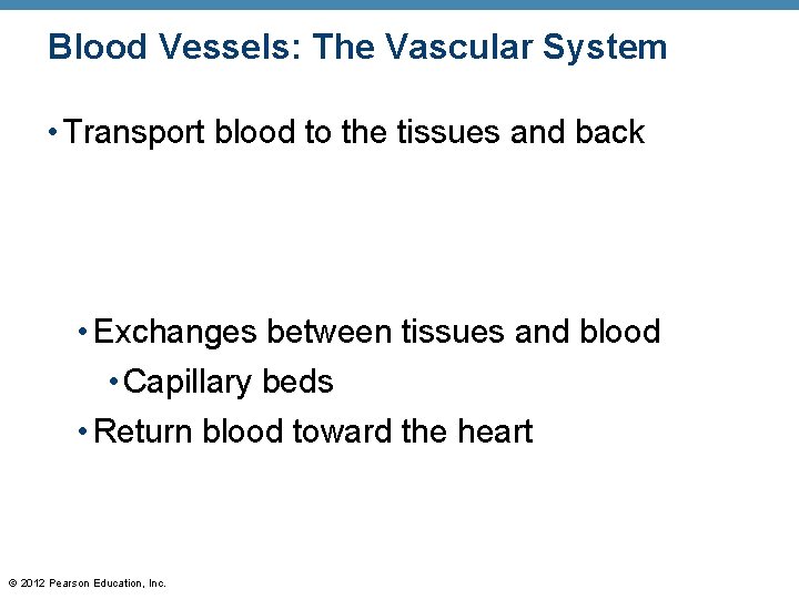 Blood Vessels: The Vascular System • Transport blood to the tissues and back • Blood Vessels: The Vascular System • Transport blood to the tissues and back •
