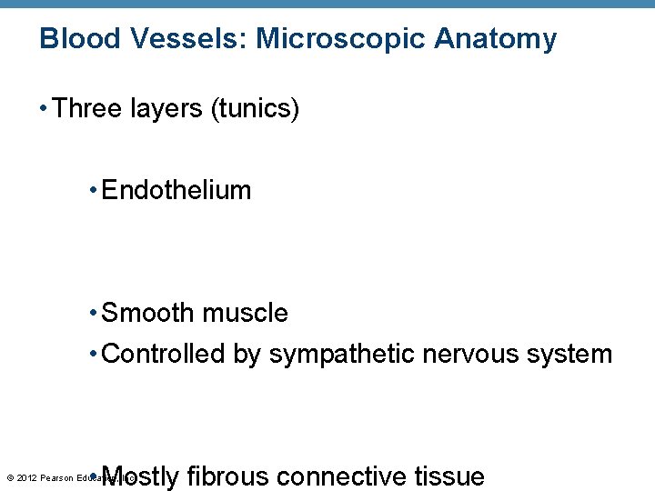 Blood Vessels: Microscopic Anatomy • Three layers (tunics) • Endothelium • Smooth muscle • Blood Vessels: Microscopic Anatomy • Three layers (tunics) • Endothelium • Smooth muscle •