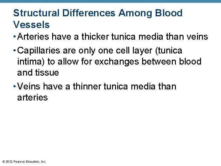 Structural Differences Among Blood Vessels • Arteries have a thicker tunica media than veins Structural Differences Among Blood Vessels • Arteries have a thicker tunica media than veins