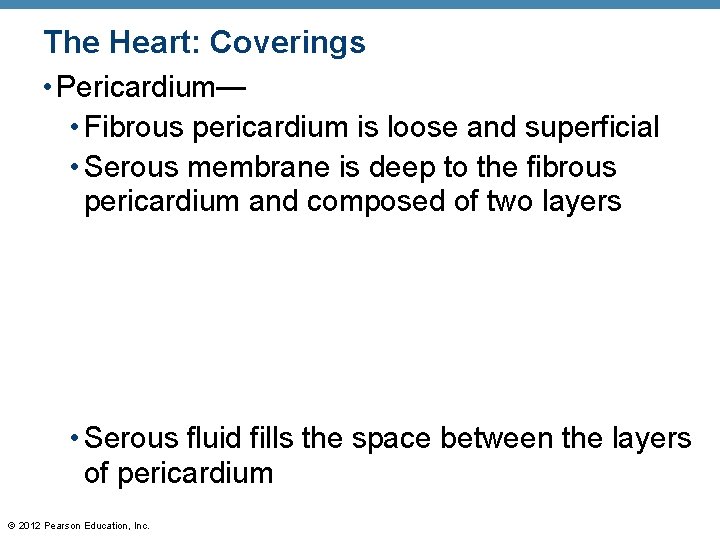 The Heart: Coverings • Pericardium— • Fibrous pericardium is loose and superficial • Serous The Heart: Coverings • Pericardium— • Fibrous pericardium is loose and superficial • Serous