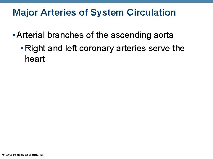 Major Arteries of System Circulation • Arterial branches of the ascending aorta • Right Major Arteries of System Circulation • Arterial branches of the ascending aorta • Right