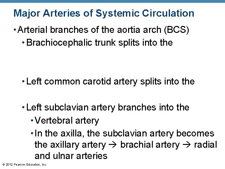 Major Arteries of Systemic Circulation • Arterial branches of the aortia arch (BCS) • Major Arteries of Systemic Circulation • Arterial branches of the aortia arch (BCS) •
