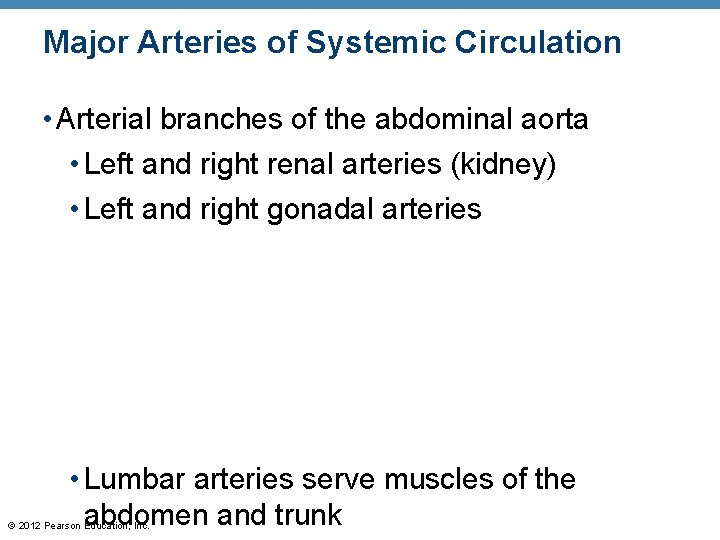 Major Arteries of Systemic Circulation • Arterial branches of the abdominal aorta • Left Major Arteries of Systemic Circulation • Arterial branches of the abdominal aorta • Left