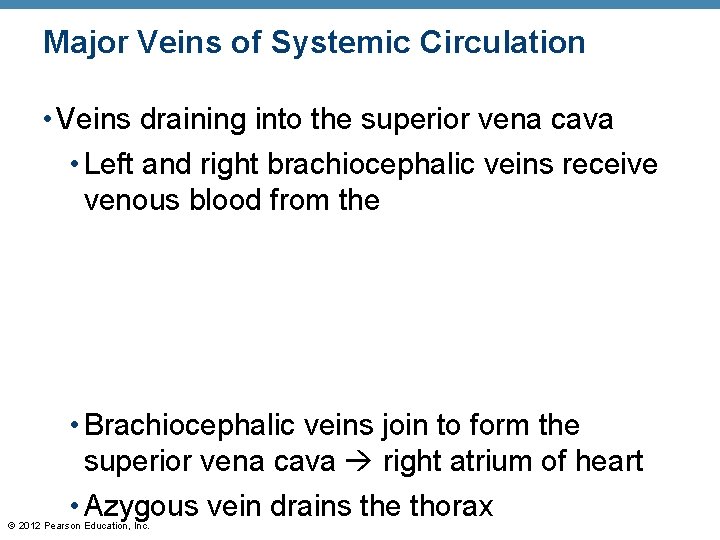 Major Veins of Systemic Circulation • Veins draining into the superior vena cava • Major Veins of Systemic Circulation • Veins draining into the superior vena cava •