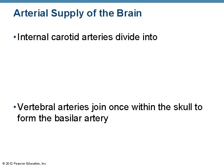 Arterial Supply of the Brain • Internal carotid arteries divide into • Vertebral arteries Arterial Supply of the Brain • Internal carotid arteries divide into • Vertebral arteries