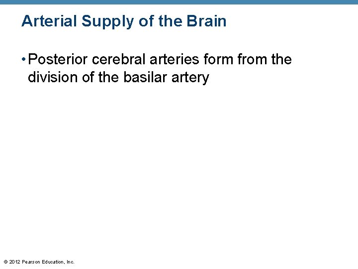Arterial Supply of the Brain • Posterior cerebral arteries form from the division of Arterial Supply of the Brain • Posterior cerebral arteries form from the division of