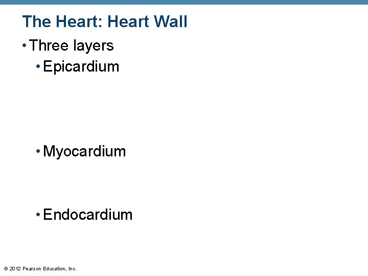 The Heart: Heart Wall • Three layers • Epicardium • Myocardium • Endocardium © The Heart: Heart Wall • Three layers • Epicardium • Myocardium • Endocardium ©