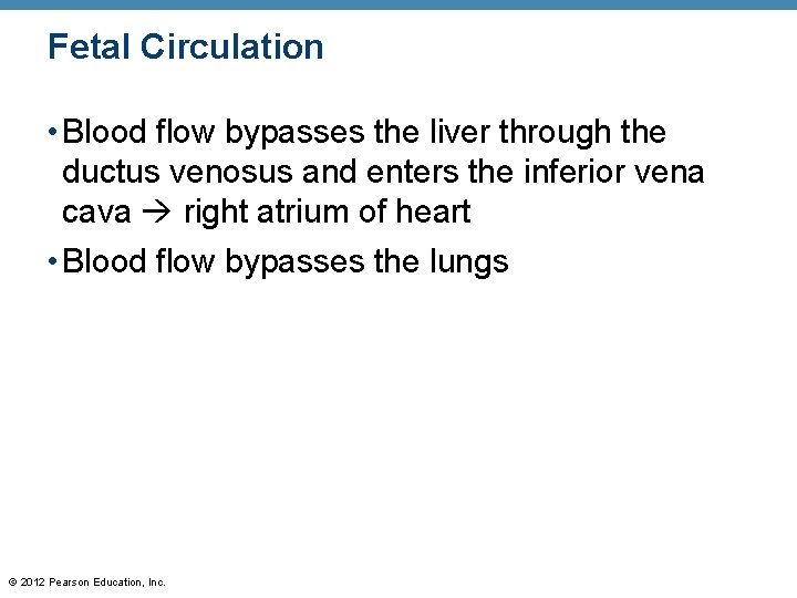 Fetal Circulation • Blood flow bypasses the liver through the ductus venosus and enters Fetal Circulation • Blood flow bypasses the liver through the ductus venosus and enters
