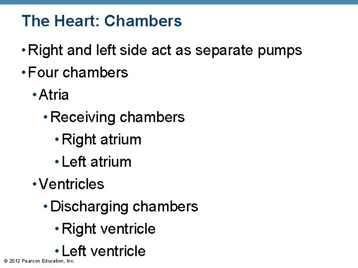 The Heart: Chambers • Right and left side act as separate pumps • Four The Heart: Chambers • Right and left side act as separate pumps • Four