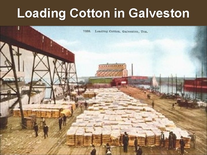 Loading Cotton in Galveston 