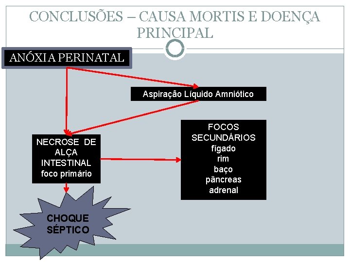 CONCLUSÕES – CAUSA MORTIS E DOENÇA PRINCIPAL ANÓXIA PERINATAL Aspiração Líquido Amniótico NECROSE DE