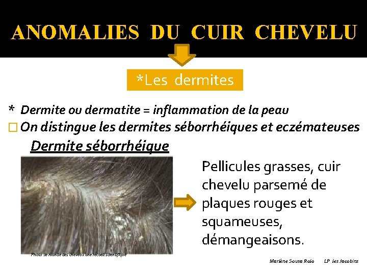 * Dermite ou dermatite = inflammation de la peau On distingue les dermites séborrhéiques