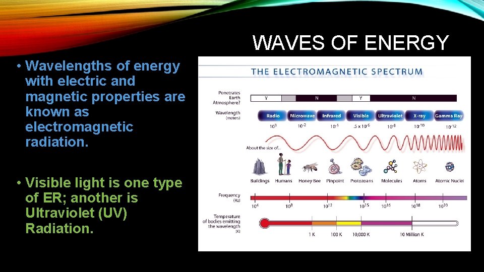 WAVES OF ENERGY • Wavelengths of energy with electric and magnetic properties are known
