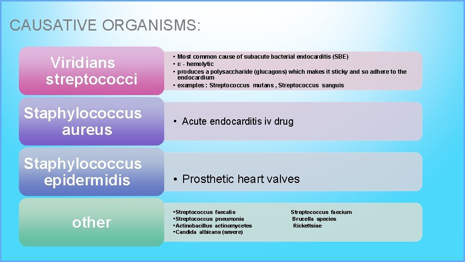 CAUSATIVE ORGANISMS: Viridians streptococci Staphylococcus aureus Staphylococcus epidermidis other • Most common cause of