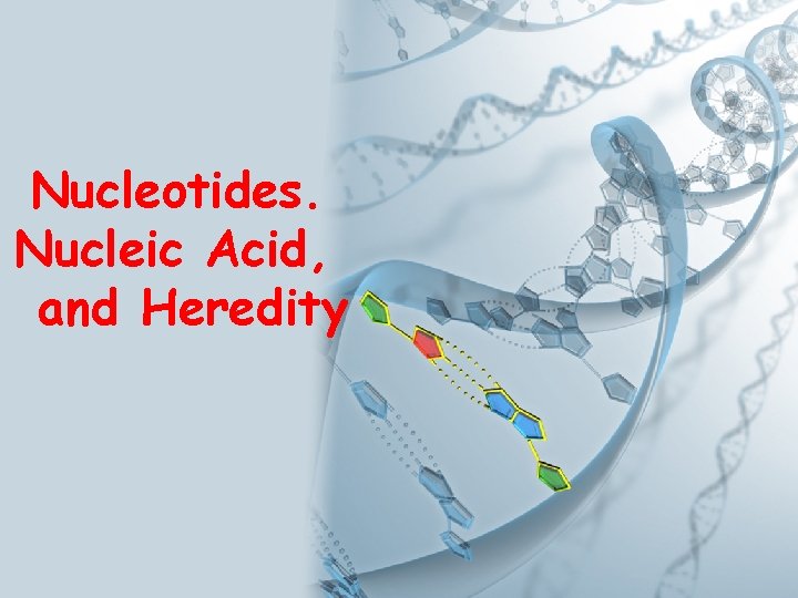 Nucleotides. Nucleic Acid, and Heredity 