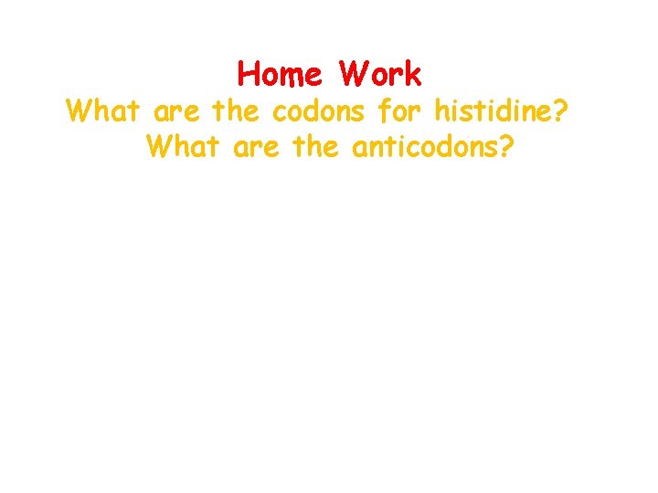 Home Work What are the codons for histidine? What are the anticodons? 