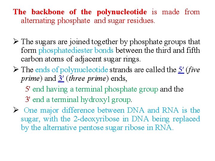 The backbone of the polynucleotide is made from alternating phosphate and sugar residues. Ø