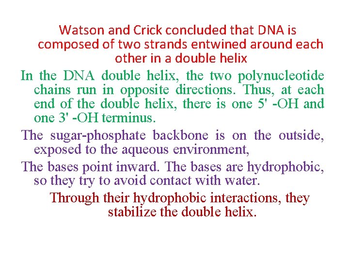 Watson and Crick concluded that DNA is composed of two strands entwined around each