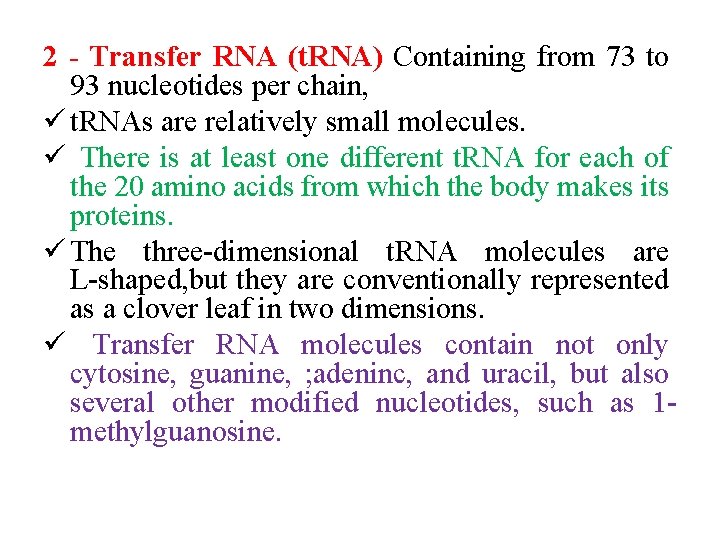 2 Transfer RNA (t. RNA) Containing from 73 to 93 nucleotides per chain, ü