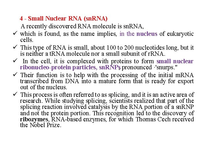 ü ü ü 4 Small Nuclear RNA (sn. RNA) A recently discovered RNA molecule