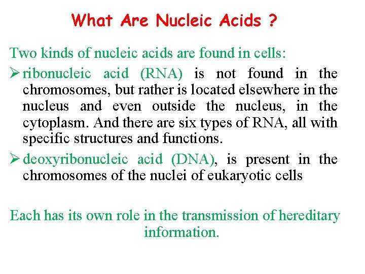 What Are Nucleic Acids ? Two kinds of nucleic acids are found in cells: