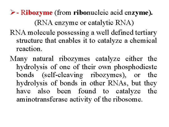 Ø Ribozyme (from ribonucleic acid enzyme). (RNA enzyme or catalytic RNA) RNA molecule possessing