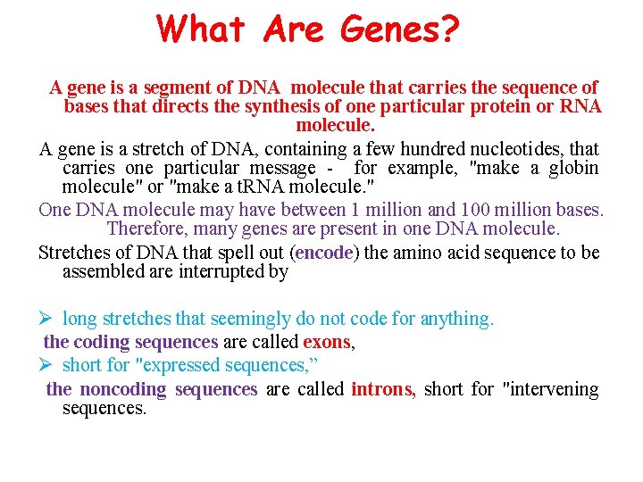 What Are Genes? A gene is a segment of DNA molecule that carries the