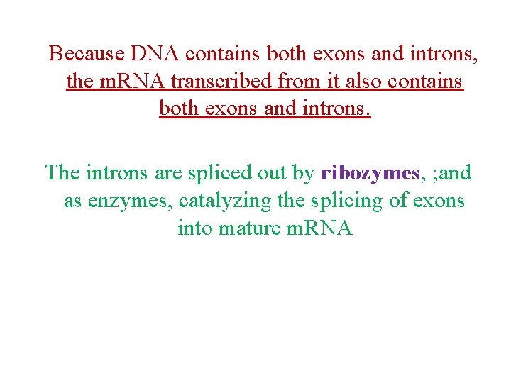 Because DNA contains both exons and introns, the m. RNA transcribed from it also