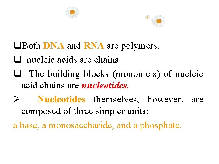 q. Both DNA and RNA are polymers. q nucleic acids are chains. q The