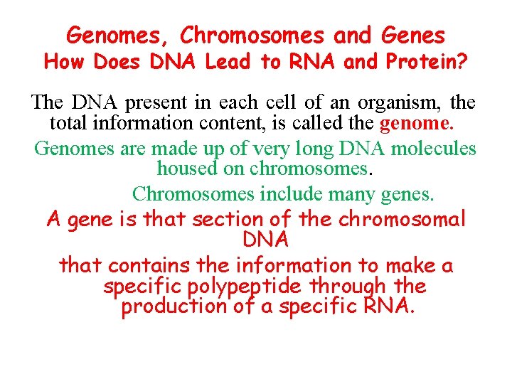 Genomes, Chromosomes and Genes How Does DNA Lead to RNA and Protein? The DNA