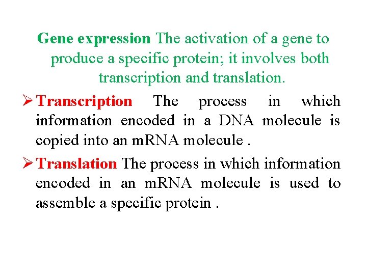 Gene expression The activation of a gene to produce a specific protein; it involves