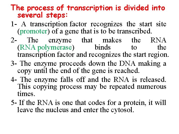 The process of transcription is divided into several steps: 1 A transcription factor recognizes