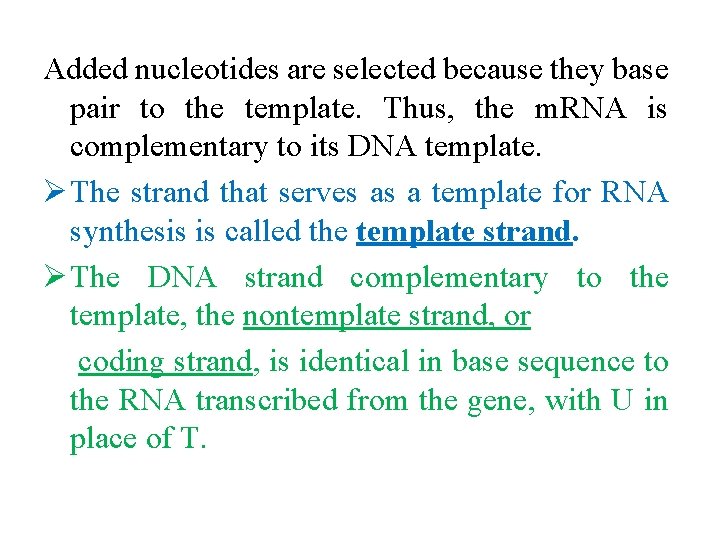 Added nucleotides are selected because they base pair to the template. Thus, the m.