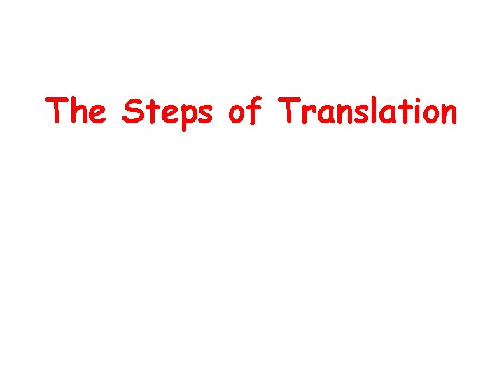 The Steps of Translation 