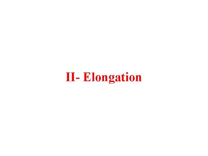 II Elongation 