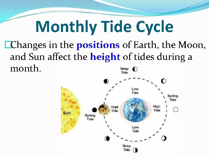 Monthly Tide Cycle �Changes in the positions of Earth, the Moon, and Sun affect