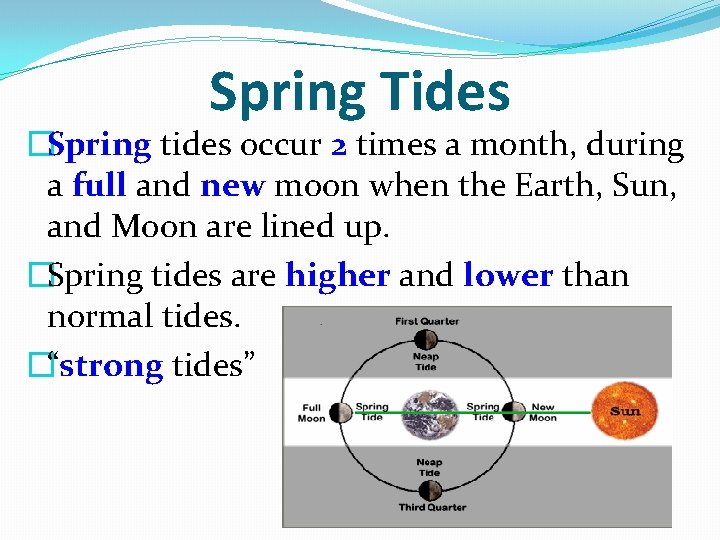 Spring Tides �Spring tides occur 2 times a month, during a full and new