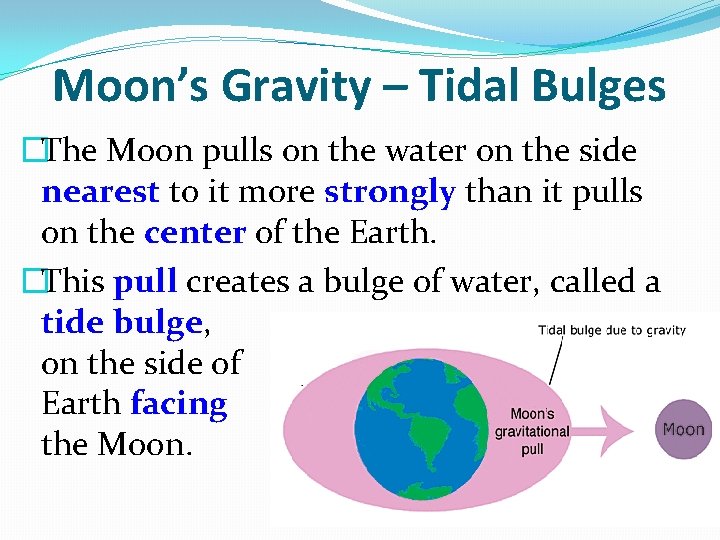 Moon’s Gravity – Tidal Bulges �The Moon pulls on the water on the side