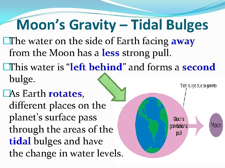 Moon’s Gravity – Tidal Bulges �The water on the side of Earth facing away