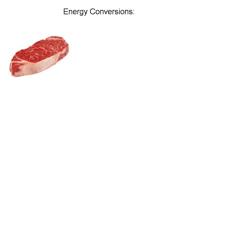 Energy Conversions: 