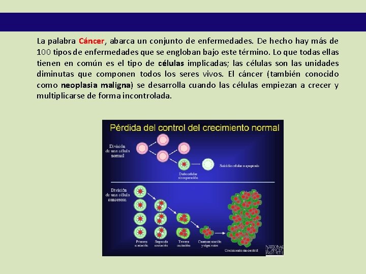 La palabra Cáncer, abarca un conjunto de enfermedades. De hecho hay más de 100