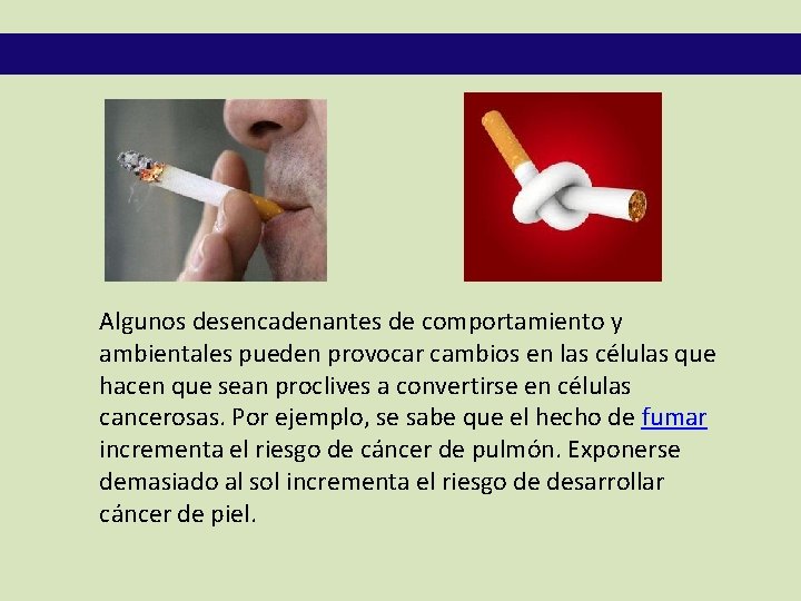 Algunos desencadenantes de comportamiento y ambientales pueden provocar cambios en las células que hacen