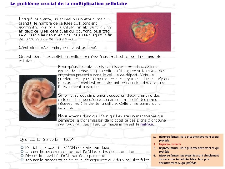 1. Réponse fausse. Relis plus attentivement ce qui précède. 2. Réponse correcte 3. Réponse