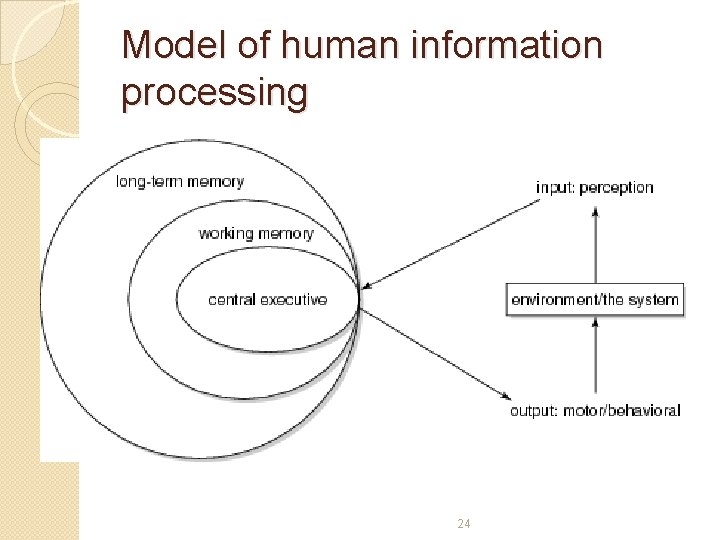 Model of human information processing 24 